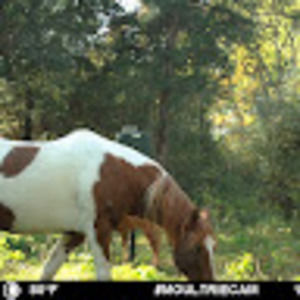 Meet your Posher, Bianca